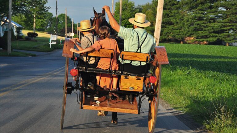 Amish Oil Change